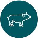 Logo van The Feed Company