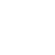 Logo van EXES licht en geluid