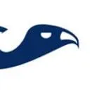 Logo De Gier Geveltechniek