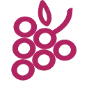 Logo van Fruticos