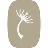 Logo the Touch Studio