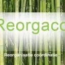 Logo Reorgaco