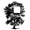Logo Qrcus