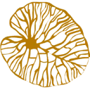 Logo van Health AND Healing Centrum Zutphen