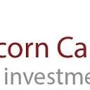 Logo van Capricorn Capital Group