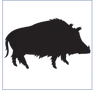 Logo van Wild van Wild