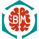 Logo Brainmatters_nl