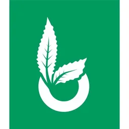 Blowie logo