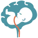 Logo Midwifery Research Network Netherlands