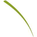 Logo van Deltalp