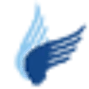 Logo van New Wings Foundation