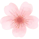 Logo The Bridal Blush