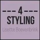 Logo van 4 Styling
